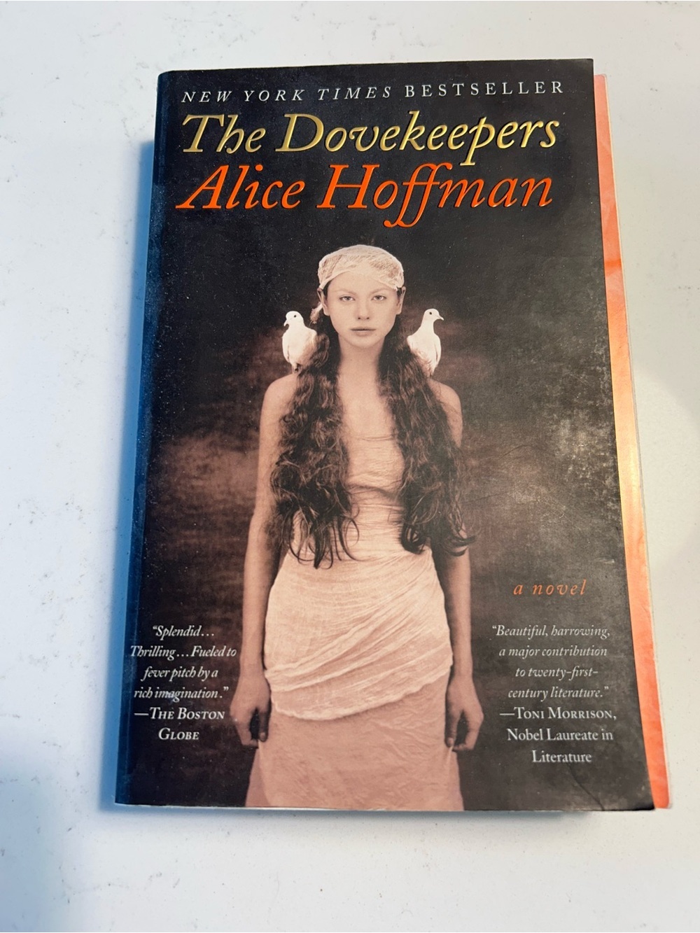 The Dovekeepers by Alice Hoffman